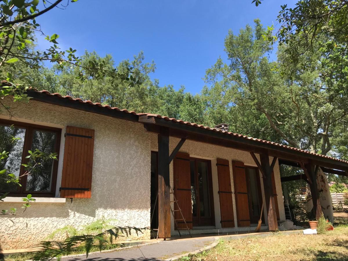 Villa chênes liège Moliets-et-Maa Extérieur photo